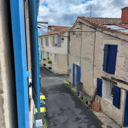 Maison Plein Centre Marais Poitevin